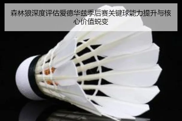 森林狼深度评估爱德华兹季后赛关键球能力提升与核心价值蜕变